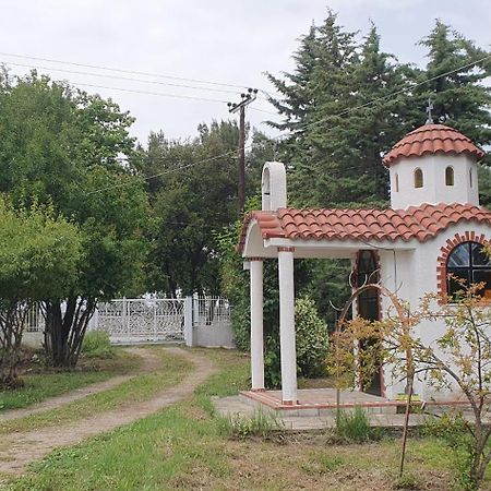 Hephaestus Appartments Litochoro - A2 Dış mekan fotoğraf